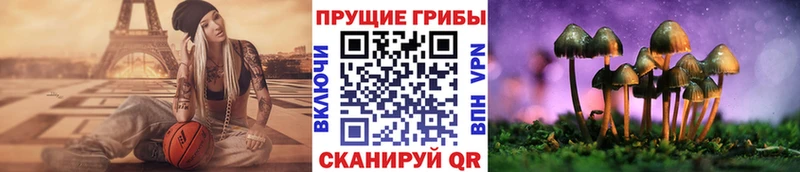 даркнет формула  где купить наркоту  Медынь  Галлюциногенные грибы Magic Shrooms 